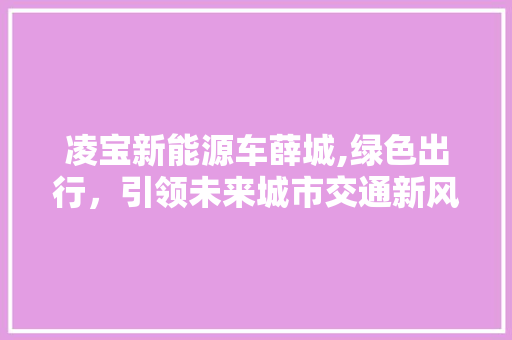 凌宝新能源车薛城,绿色出行，引领未来城市交通新风尚  第1张