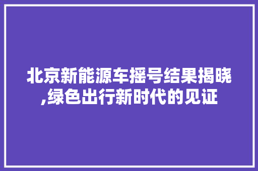 北京新能源车摇号结果揭晓,绿色出行新时代的见证  第1张