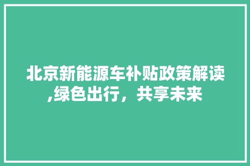 北京新能源车补贴政策解读,绿色出行，共享未来  第1张