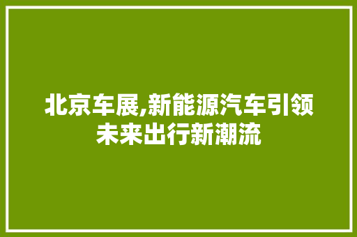 北京车展,新能源汽车引领未来出行新潮流  第1张