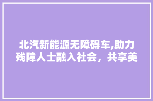北汽新能源无障碍车,助力残障人士融入社会，共享美好生活  第1张