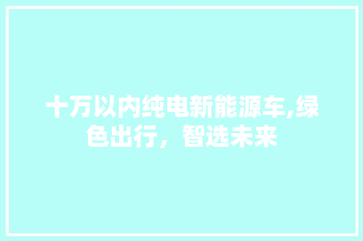 十万以内纯电新能源车,绿色出行，智选未来