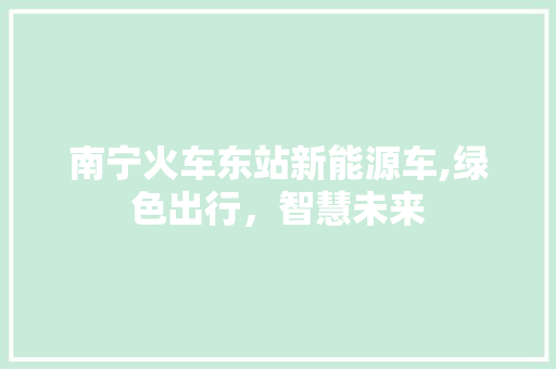 南宁火车东站新能源车,绿色出行，智慧未来