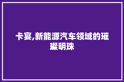 卡宴,新能源汽车领域的璀璨明珠