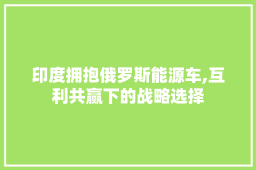 印度拥抱俄罗斯能源车,互利共赢下的战略选择  第1张