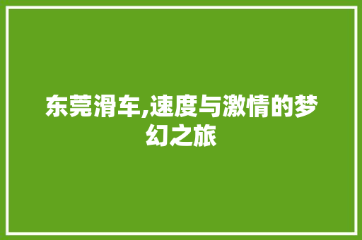 东莞滑车,速度与激情的梦幻之旅  第1张