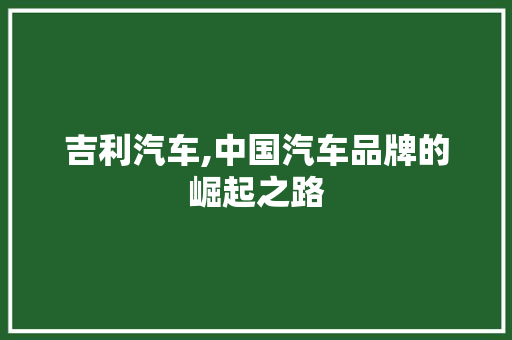 吉利汽车,中国汽车品牌的崛起之路  第1张