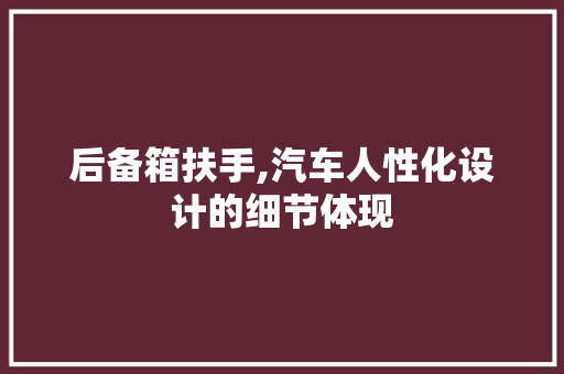 后备箱扶手,汽车人性化设计的细节体现  第1张
