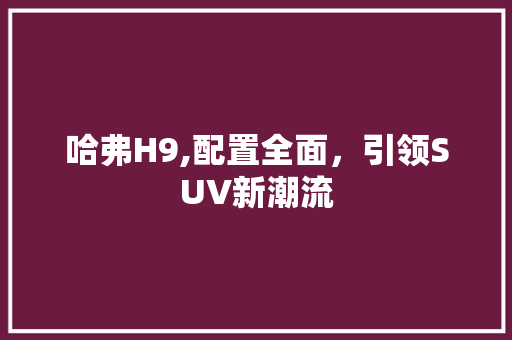 哈弗H9,配置全面，引领SUV新潮流