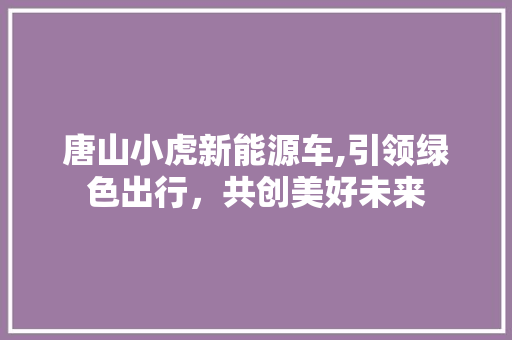 唐山小虎新能源车,引领绿色出行，共创美好未来