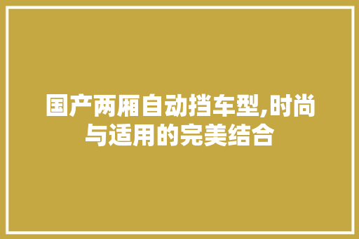 国产两厢自动挡车型,时尚与适用的完美结合
