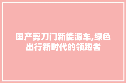 国产剪刀门新能源车,绿色出行新时代的领跑者