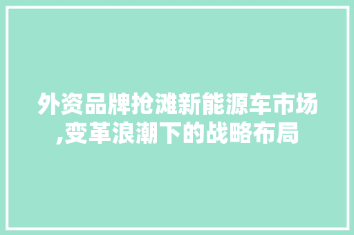 外资品牌抢滩新能源车市场,变革浪潮下的战略布局  第1张