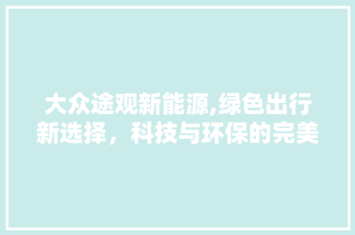 大众途观新能源,绿色出行新选择，科技与环保的完美融合  第1张