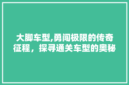 大脚车型,勇闯极限的传奇征程，探寻通关车型的奥秘