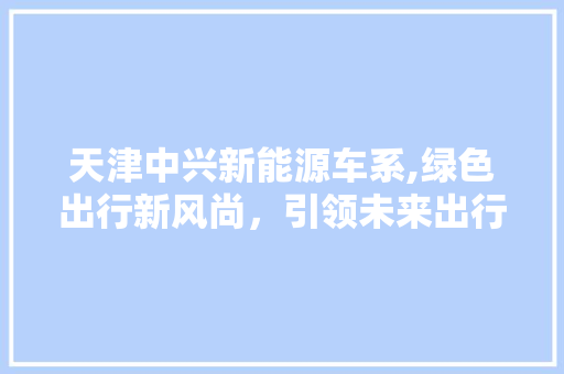 天津中兴新能源车系,绿色出行新风尚，引领未来出行潮流