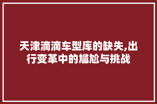 天津滴滴车型库的缺失,出行变革中的尴尬与挑战  第1张