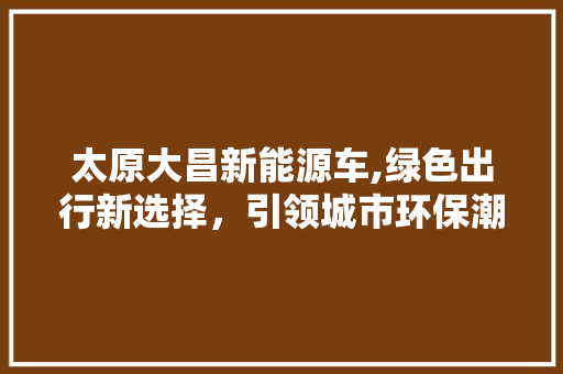 太原大昌新能源车,绿色出行新选择，引领城市环保潮流