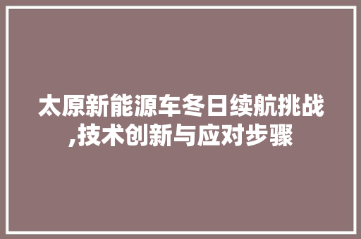 太原新能源车冬日续航挑战,技术创新与应对步骤  第1张