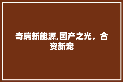 奇瑞新能源,国产之光，合资新宠  第1张