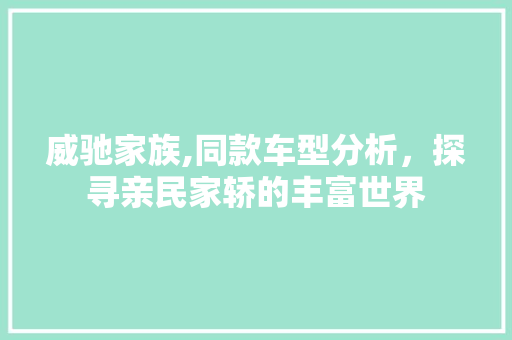威驰家族,同款车型分析，探寻亲民家轿的丰富世界  第1张
