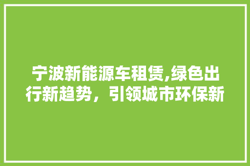 宁波新能源车租赁,绿色出行新趋势，引领城市环保新篇章
