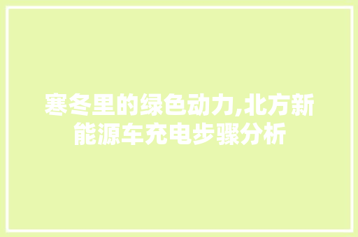 寒冬里的绿色动力,北方新能源车充电步骤分析  第1张