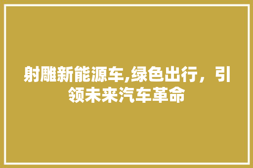 射雕新能源车,绿色出行，引领未来汽车革命  第1张