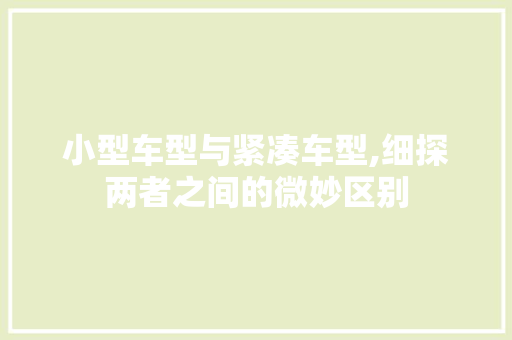 小型车型与紧凑车型,细探两者之间的微妙区别