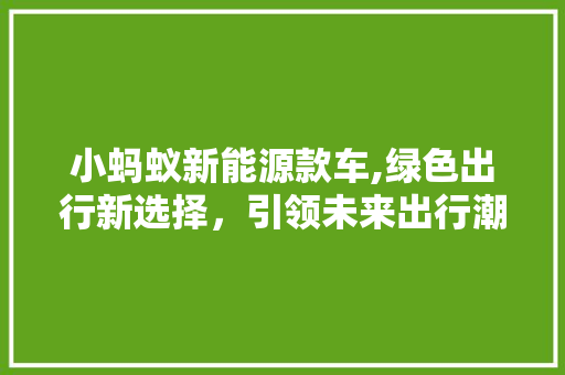 小蚂蚁新能源款车,绿色出行新选择，引领未来出行潮流  第1张