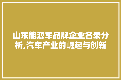 山东能源车品牌企业名录分析,汽车产业的崛起与创新力量