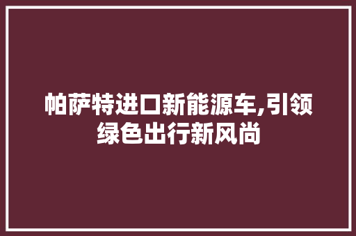 帕萨特进口新能源车,引领绿色出行新风尚