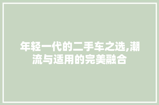 年轻一代的二手车之选,潮流与适用的完美融合  第1张
