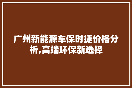 广州新能源车保时捷价格分析,高端环保新选择