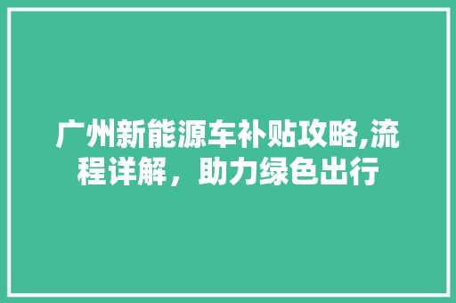 广州新能源车补贴攻略,流程详解，助力绿色出行  第1张