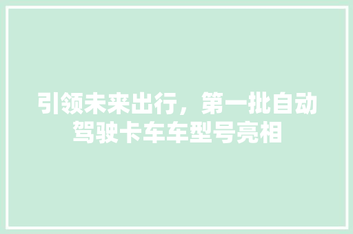 引领未来出行，第一批自动驾驶卡车车型号亮相