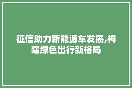 征信助力新能源车发展,构建绿色出行新格局  第1张