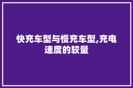 快充车型与慢充车型,充电速度的较量  第1张