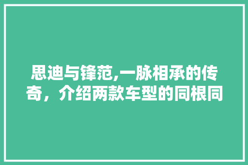 思迪与锋范,一脉相承的传奇，介绍两款车型的同根同源  第1张