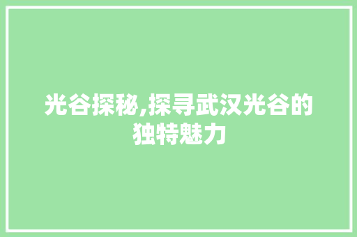 光谷探秘,探寻武汉光谷的独特魅力
