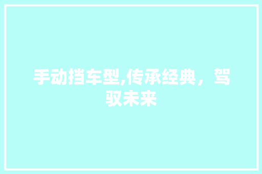 手动挡车型,传承经典，驾驭未来  第1张