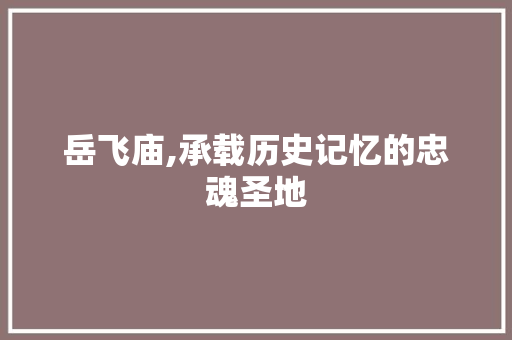 岳飞庙,承载历史记忆的忠魂圣地  第1张