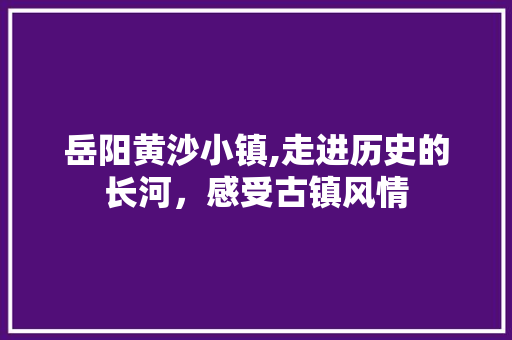 岳阳黄沙小镇,走进历史的长河，感受古镇风情  第1张