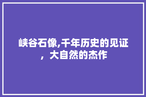 峡谷石像,千年历史的见证，大自然的杰作