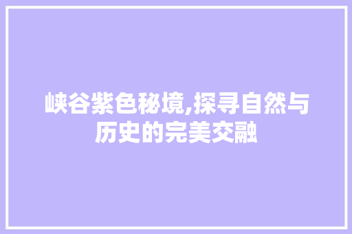 峡谷紫色秘境,探寻自然与历史的完美交融