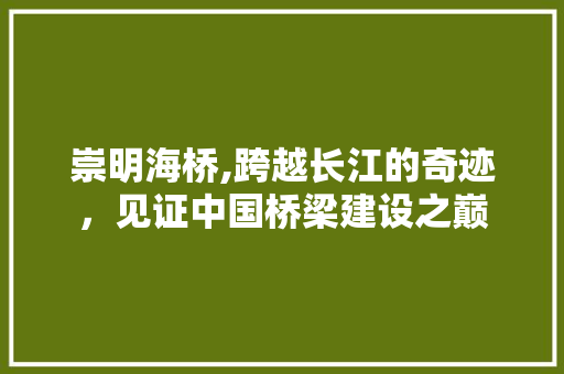 崇明海桥,跨越长江的奇迹，见证中国桥梁建设之巅  第1张