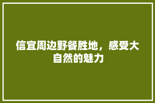 信宜周边野餐胜地，感受大自然的魅力  第1张