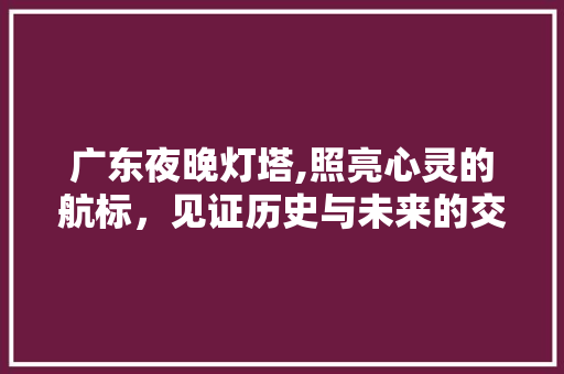 广东夜晚灯塔,照亮心灵的航标，见证历史与未来的交汇