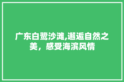 广东白鹭沙滩,邂逅自然之美，感受海滨风情