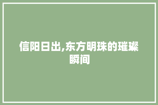 信阳日出,东方明珠的璀璨瞬间